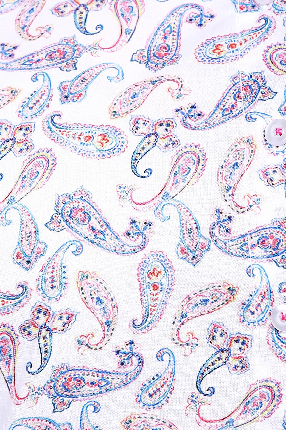 Блуза Erfo белого цвета с принтом