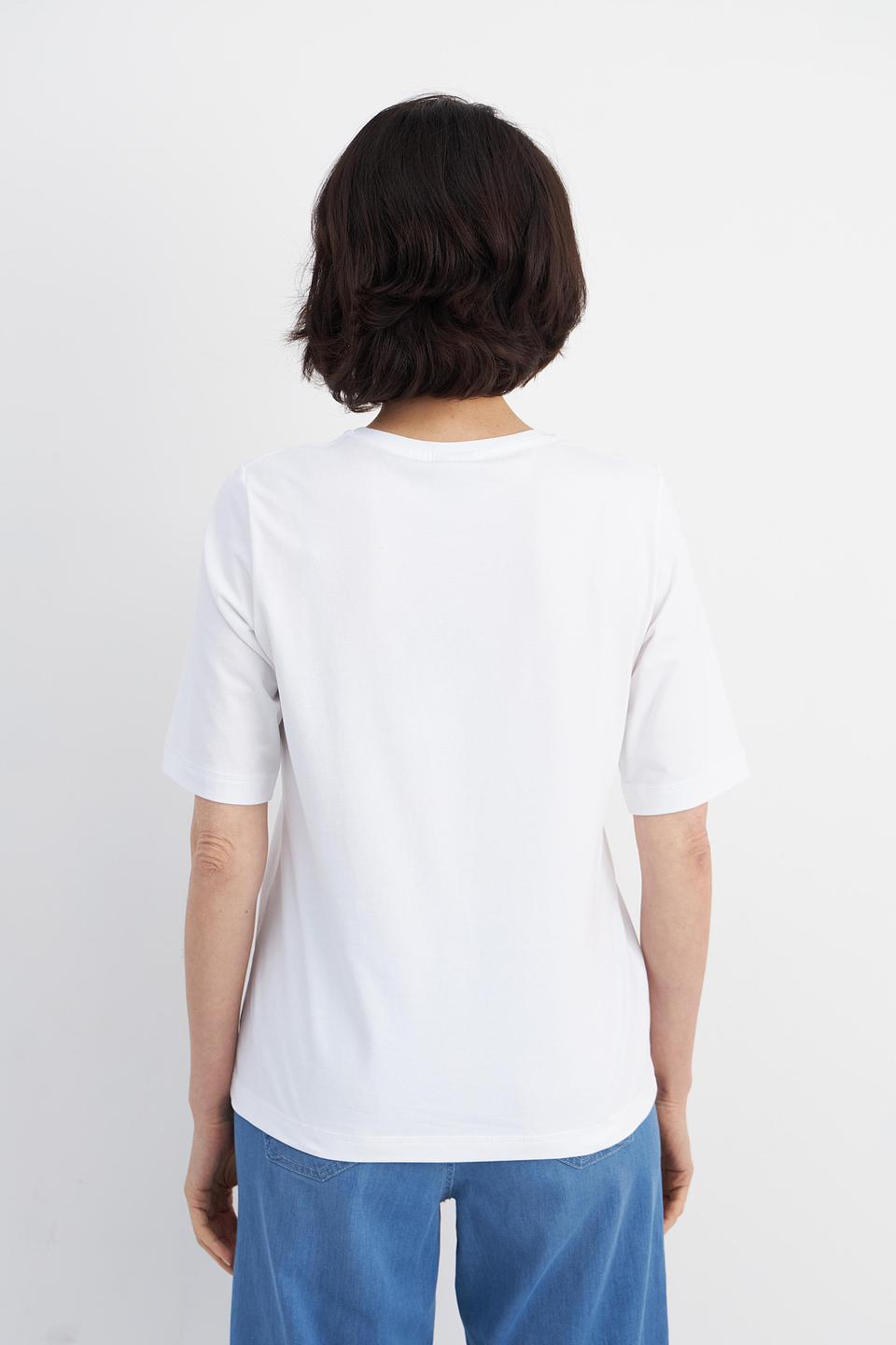 Rabe collection