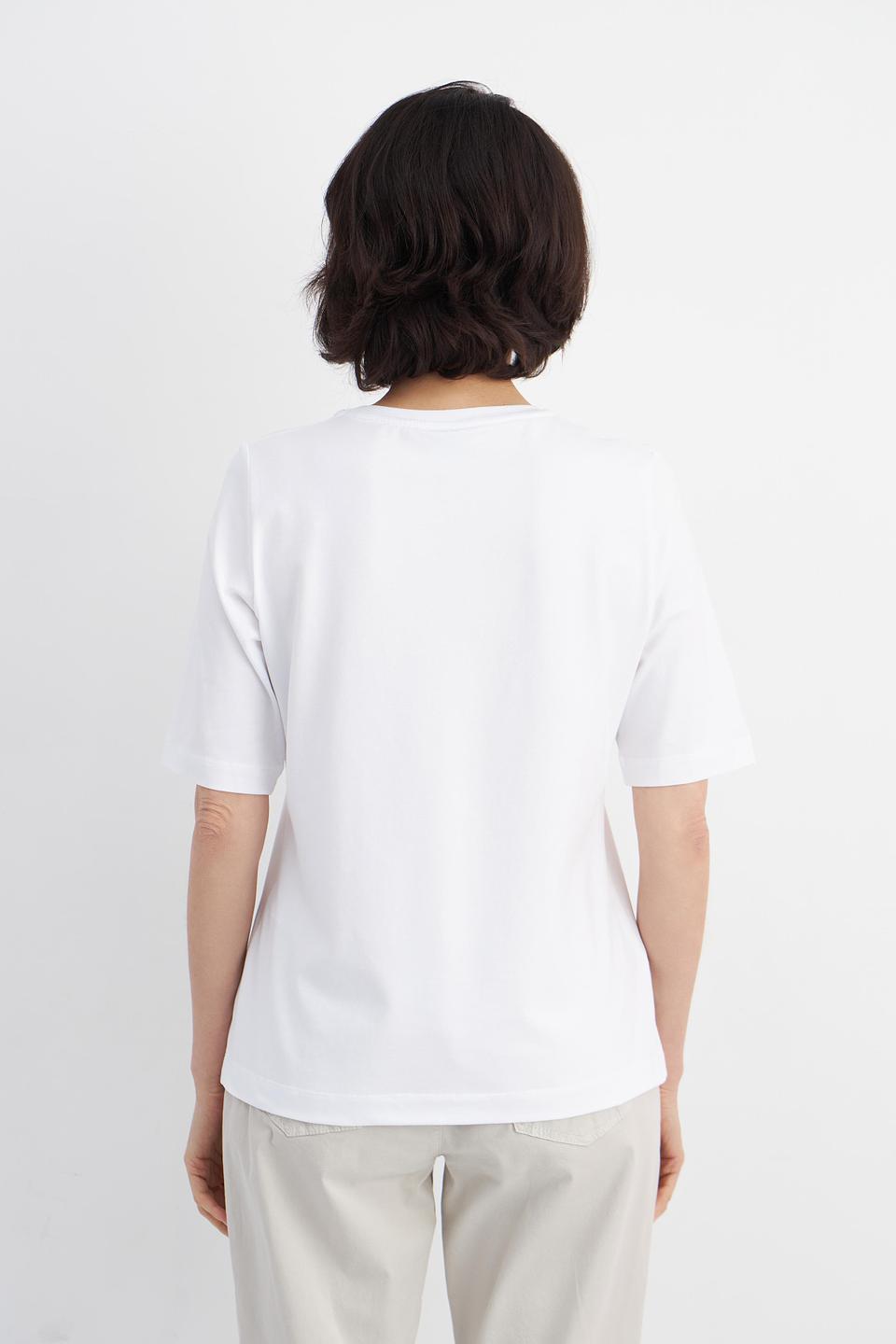 Rabe collection