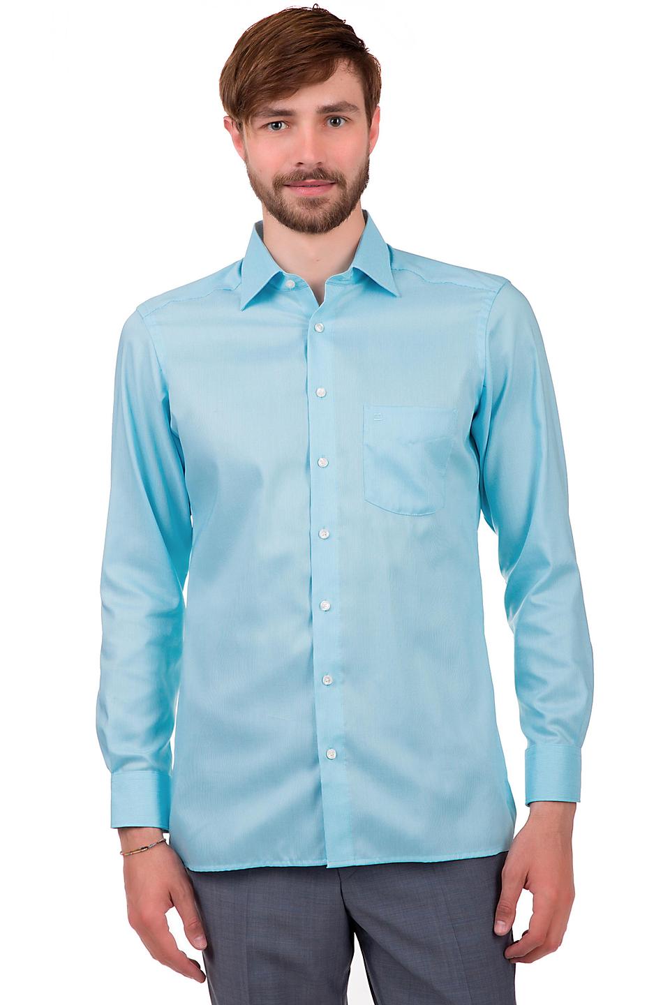 Рубашка Olymp голубая приталенная