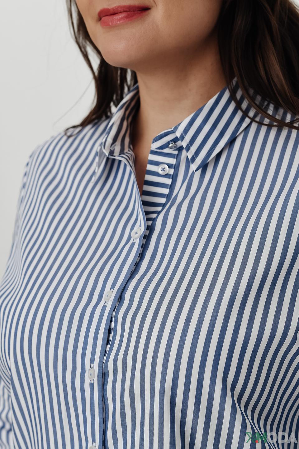 Рубашка Erfo в полоску голубую
