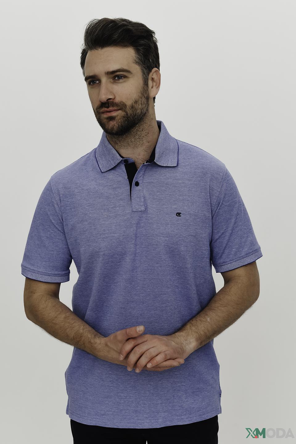 Поло Casa Moda мужское голубое
