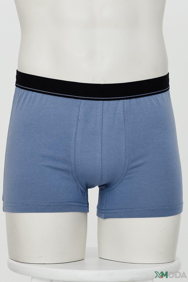 Трусы Bugatti ACC мужские голубые