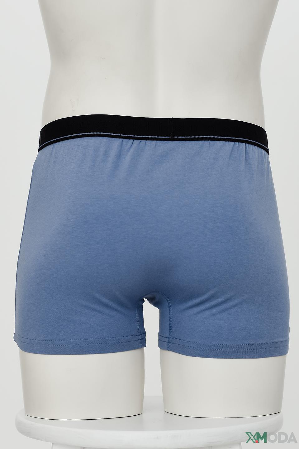 Трусы Bugatti ACC мужские голубые