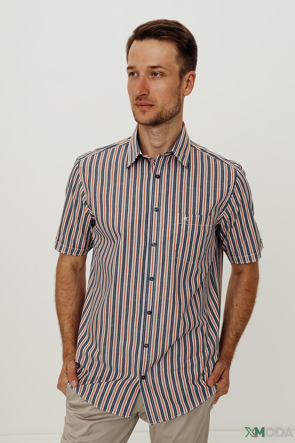 Рубашка кр Casa Moda в полоску