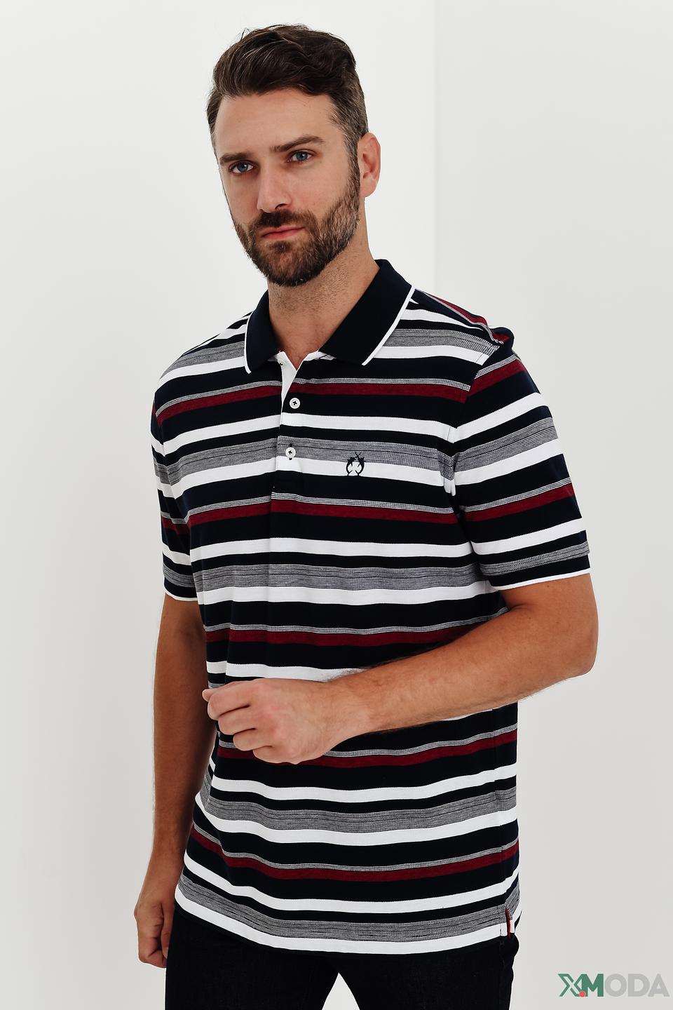 Поло Claudio Campione в полоску