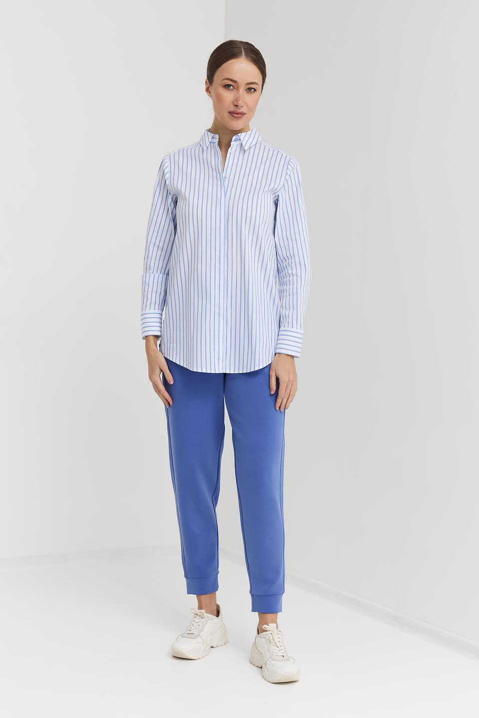 Рубашка Bianca в полоску голубую