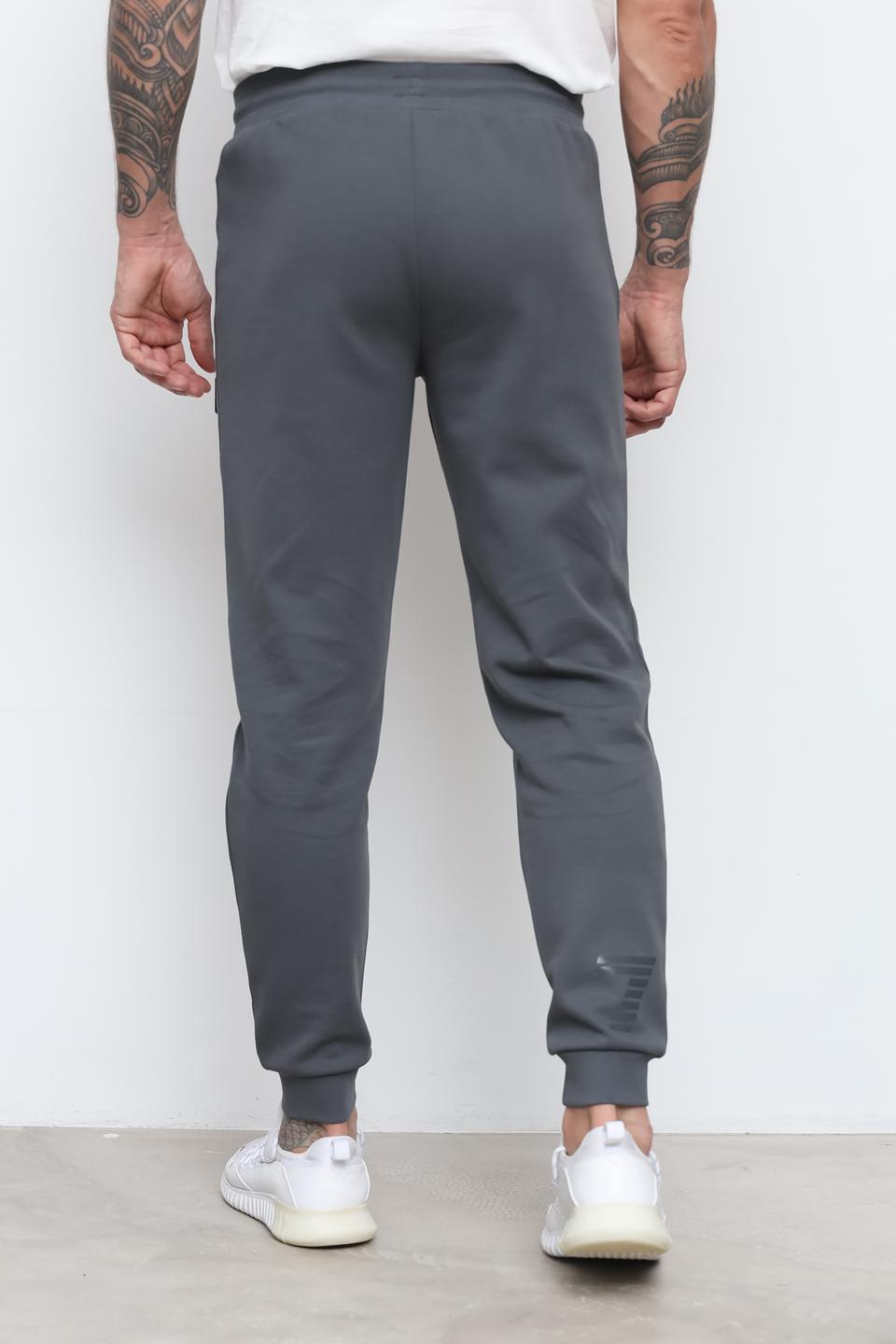 Брюки спортивные EA7 серые