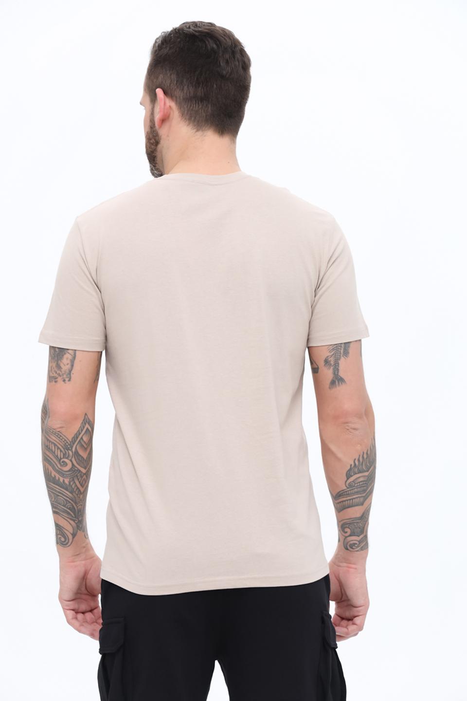 Футболка Alcott с принтом Katsushika Hokusai бежевая