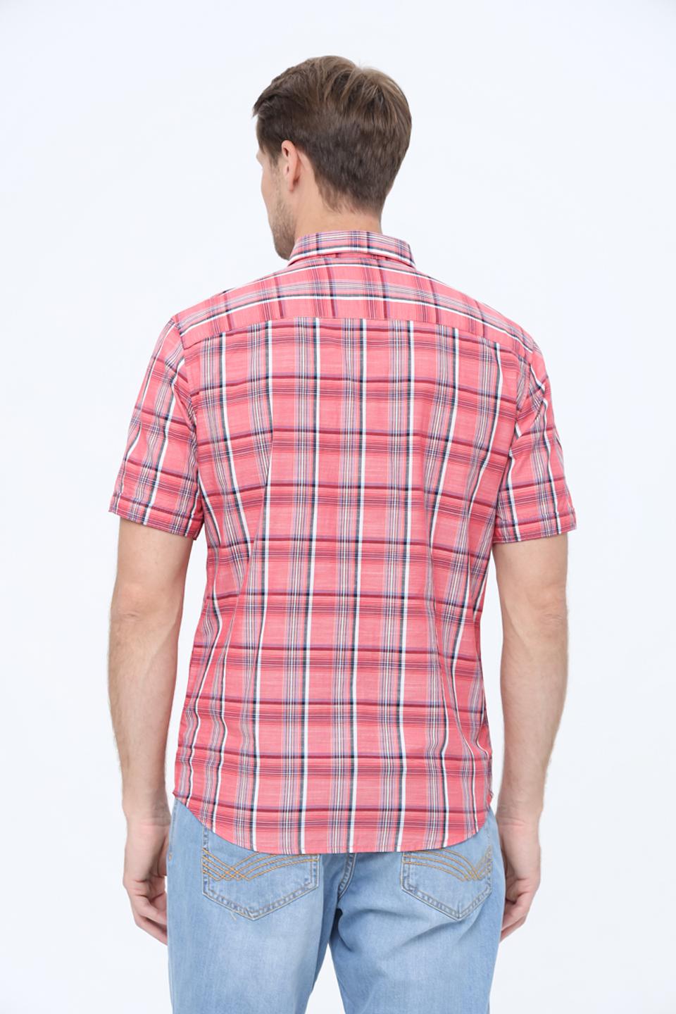 Рубашка кр-рукав Tom Tailor в клетку