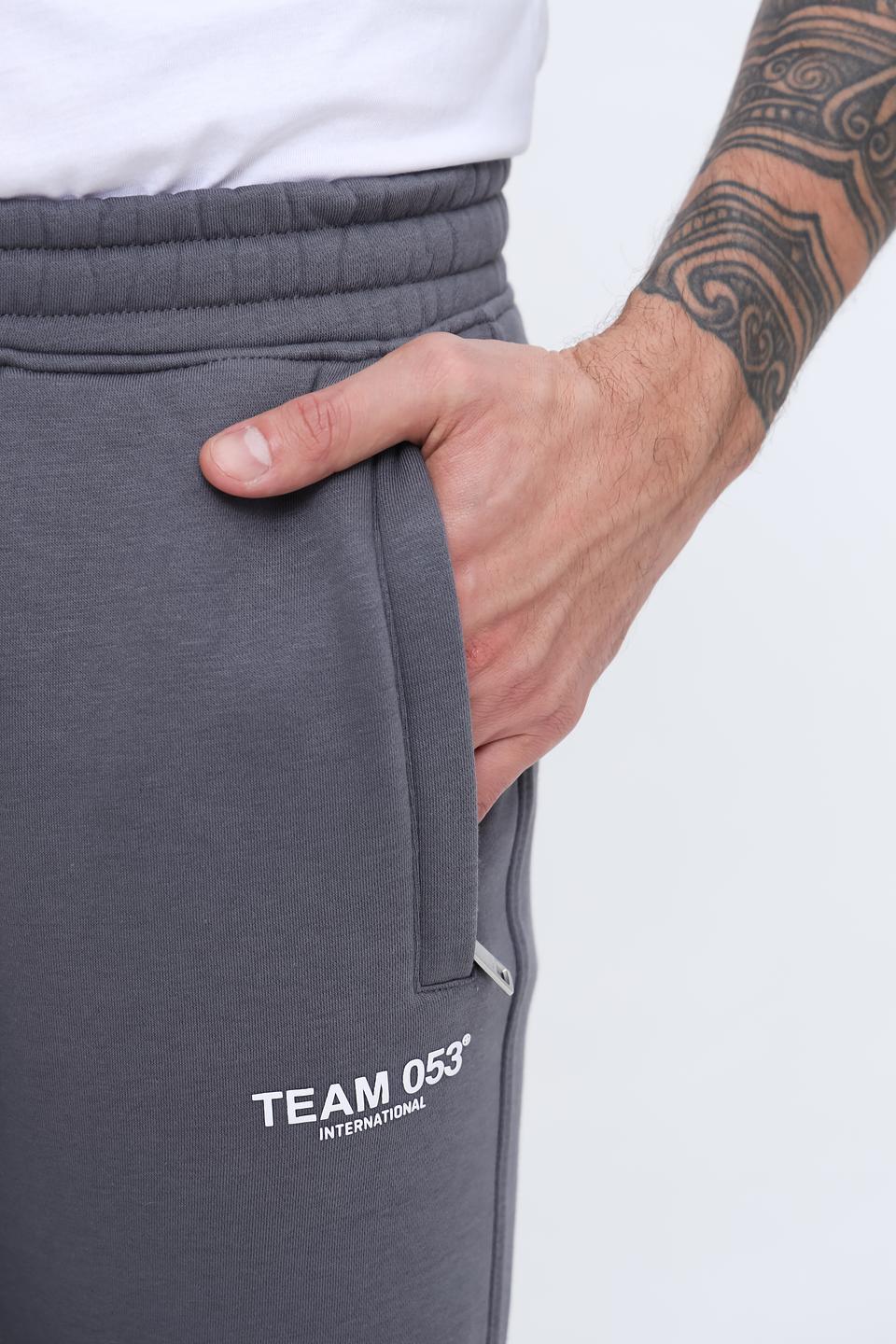 Спортивные брюки Alcott серые