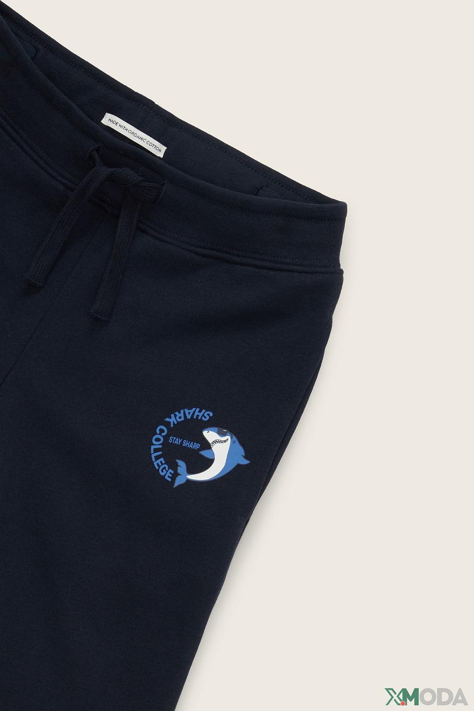 Брюки Tom Tailor детские синие с принтом