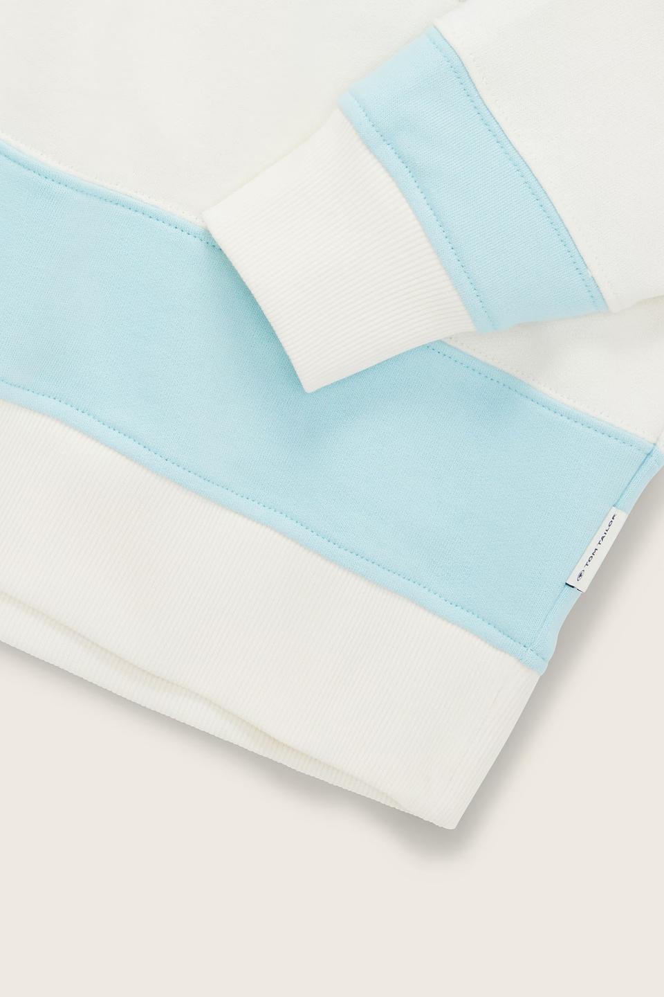 Свитшот Tom Tailor в полоску голубой