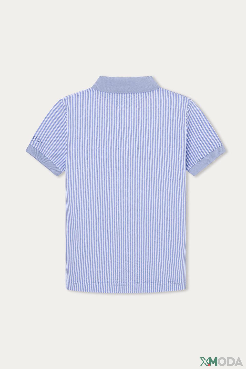 Поло Hackett London в полоску голубой