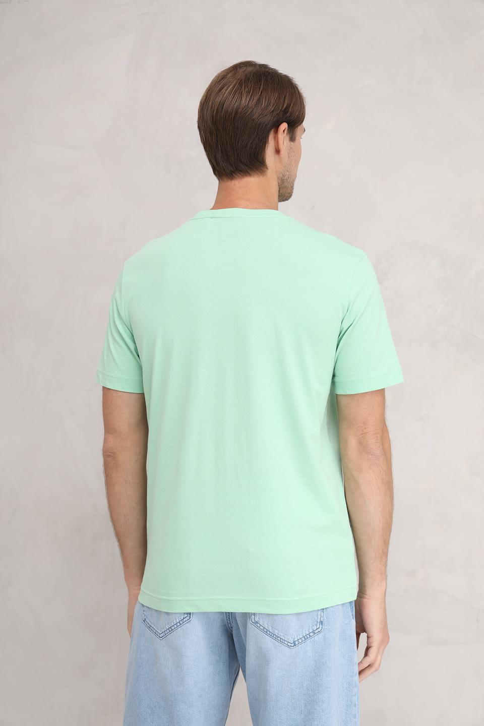 Футболка Tom Tailor мятная с принтом