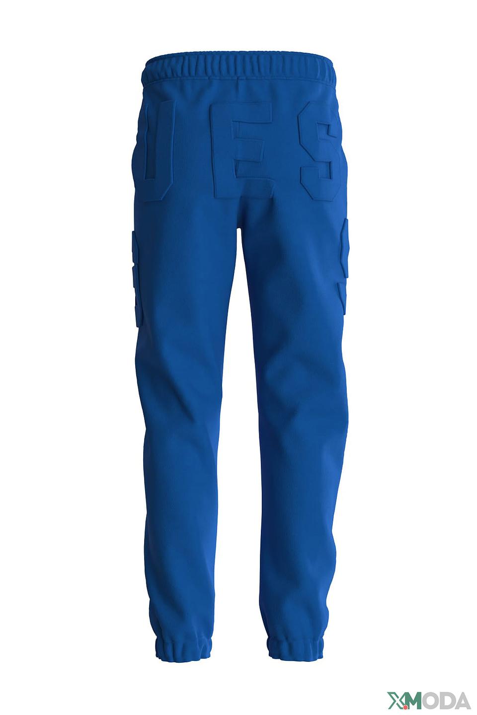 Брюки спортивные Guess синие