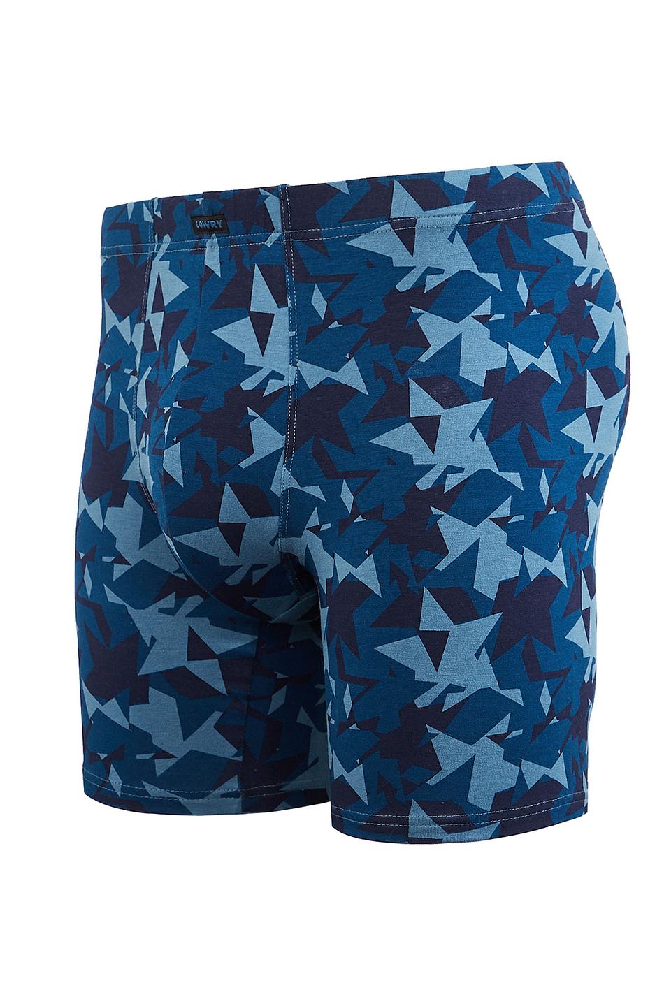 Трусы Lowry мужские в геопринте