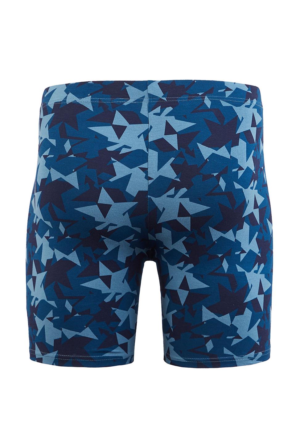 Трусы Lowry мужские в геопринте