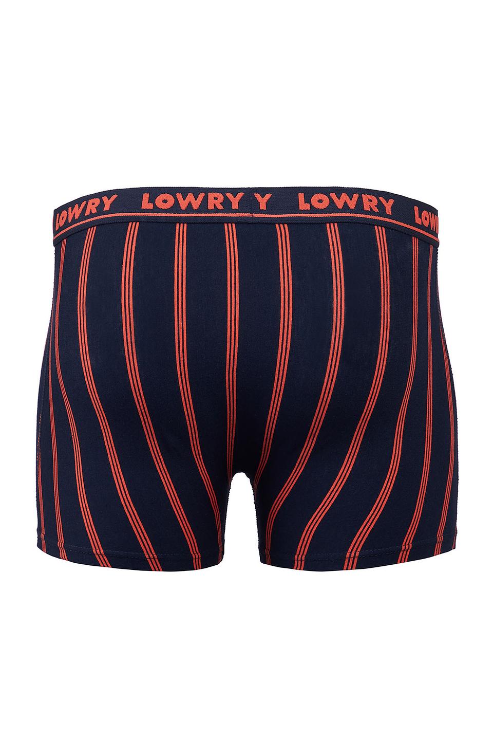 Трусы-боксеры Lowry в полоску