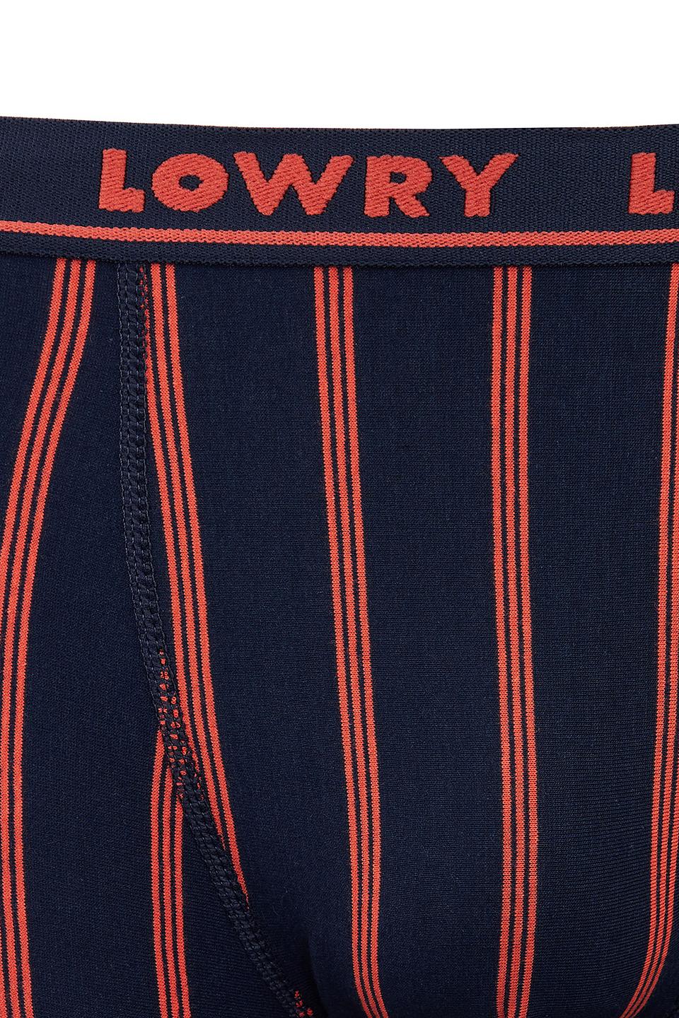 Трусы-боксеры Lowry в полоску