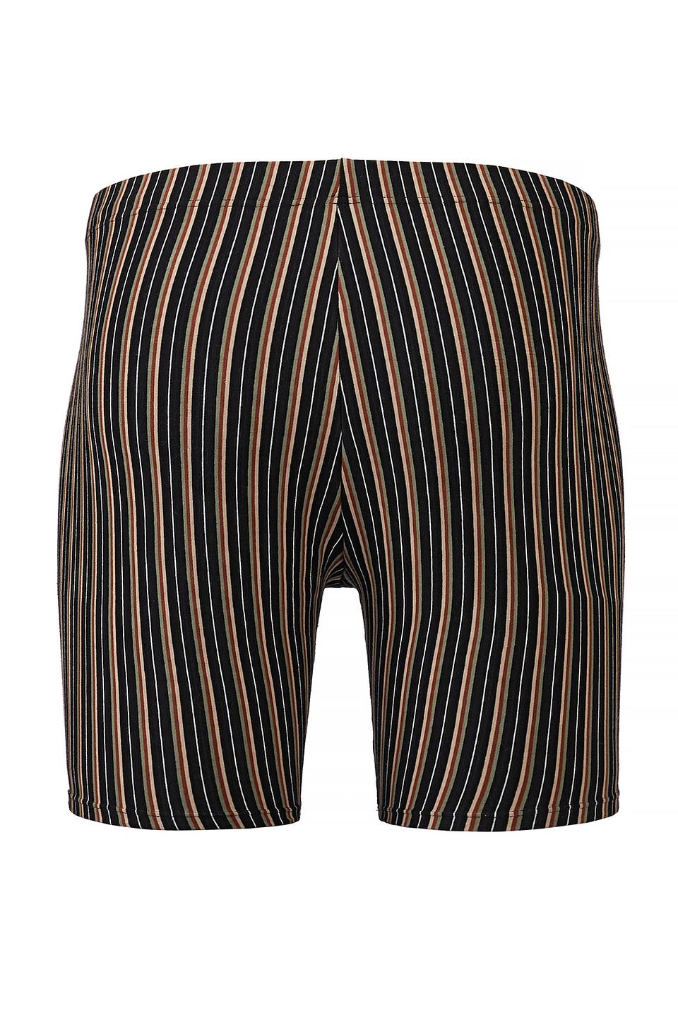 Трусы-боксеры Lowry в полоску