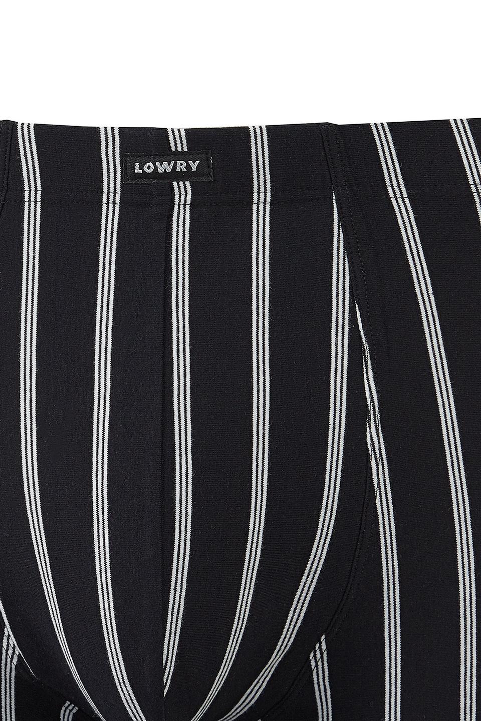 Трусы-боксеры Lowry в полоску