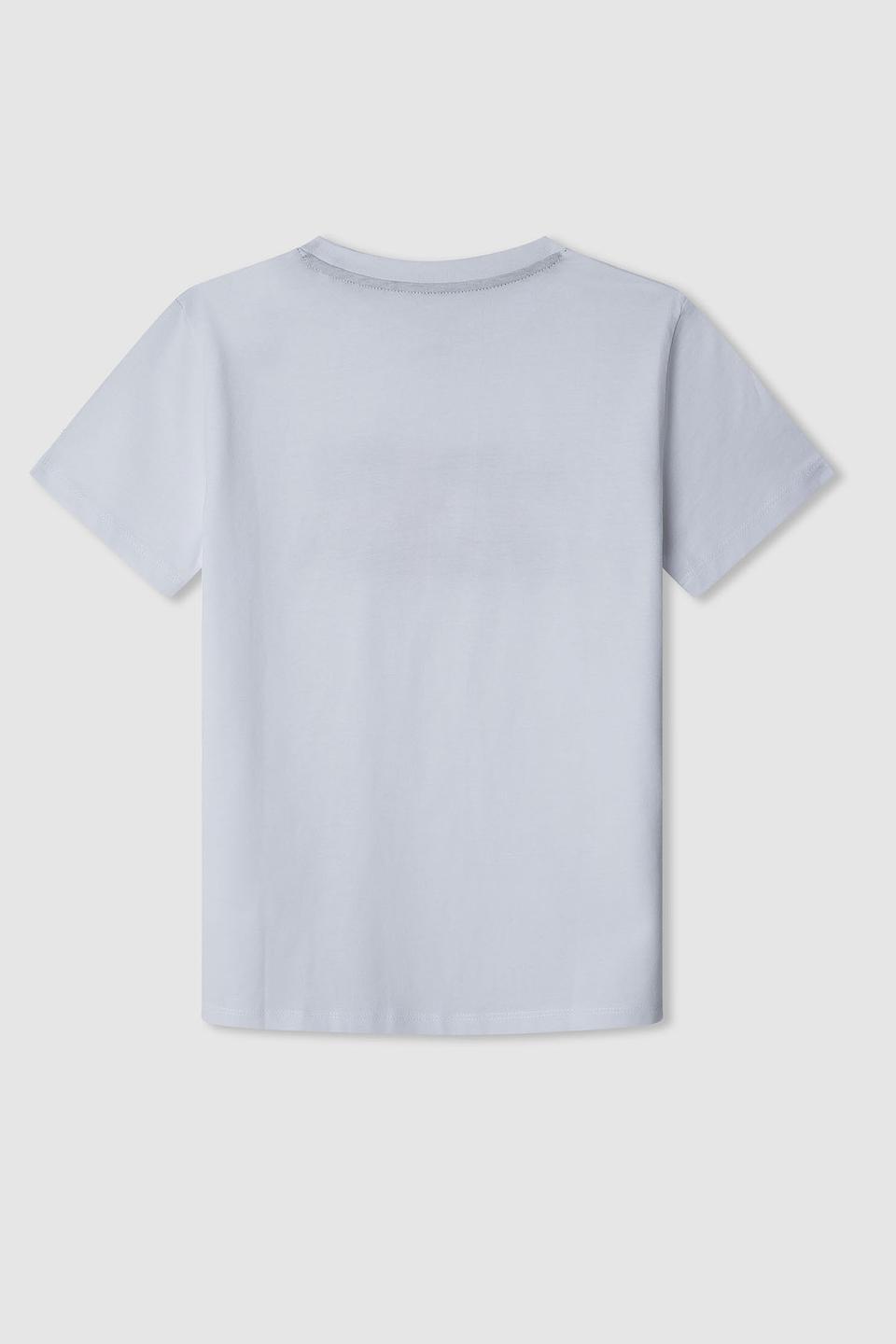 Футболка Pepe Jeans London с принтом