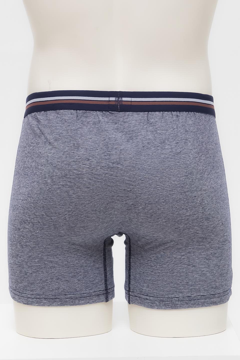 Трусы Bugatti ACC мужские меланж