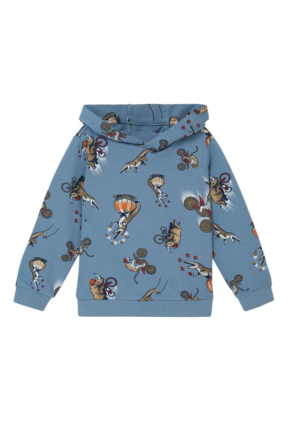 Толстовка s.Oliver с принтом голубой
