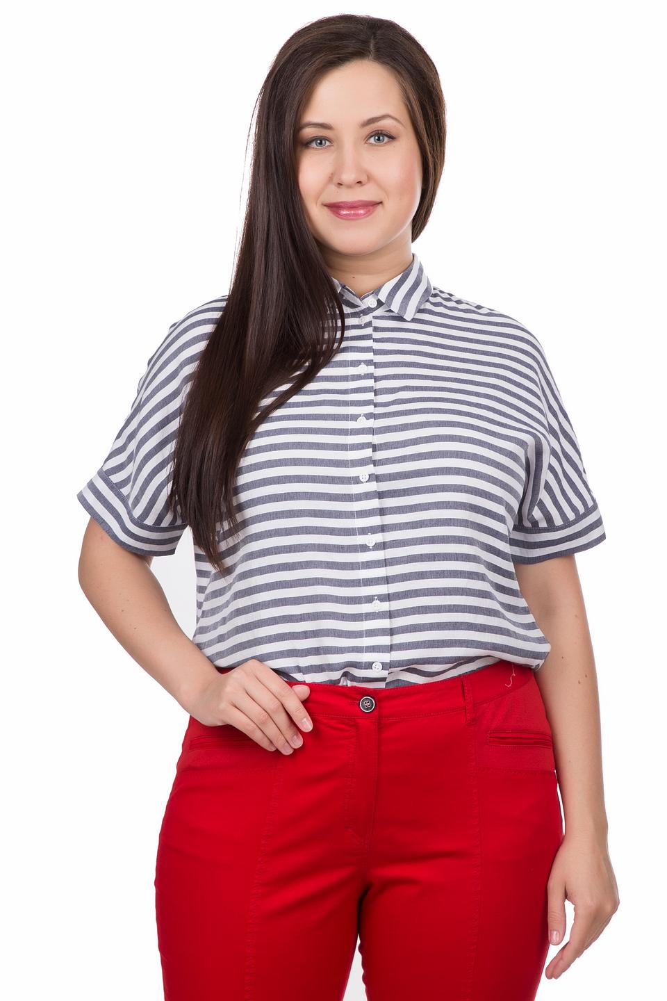 Блуза Erfo в полоску