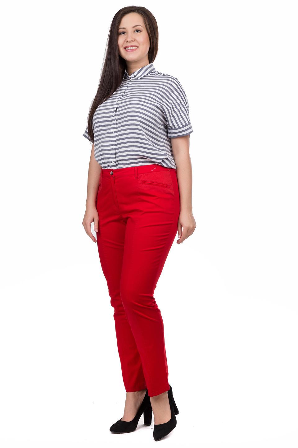 Блуза Erfo в полоску