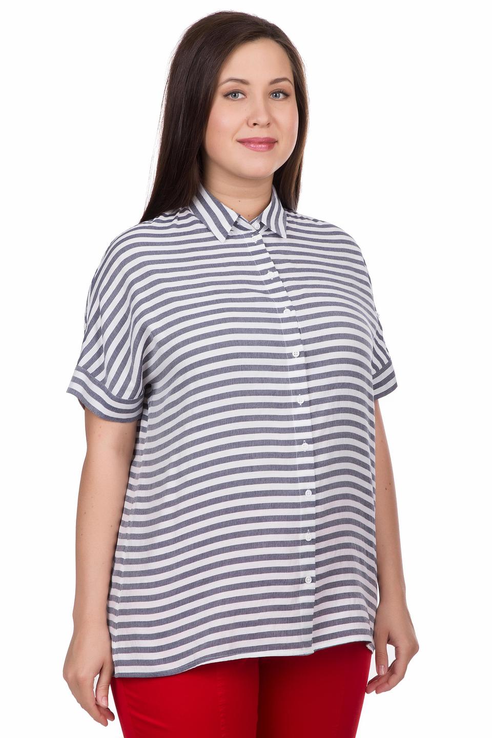 Блуза Erfo в полоску