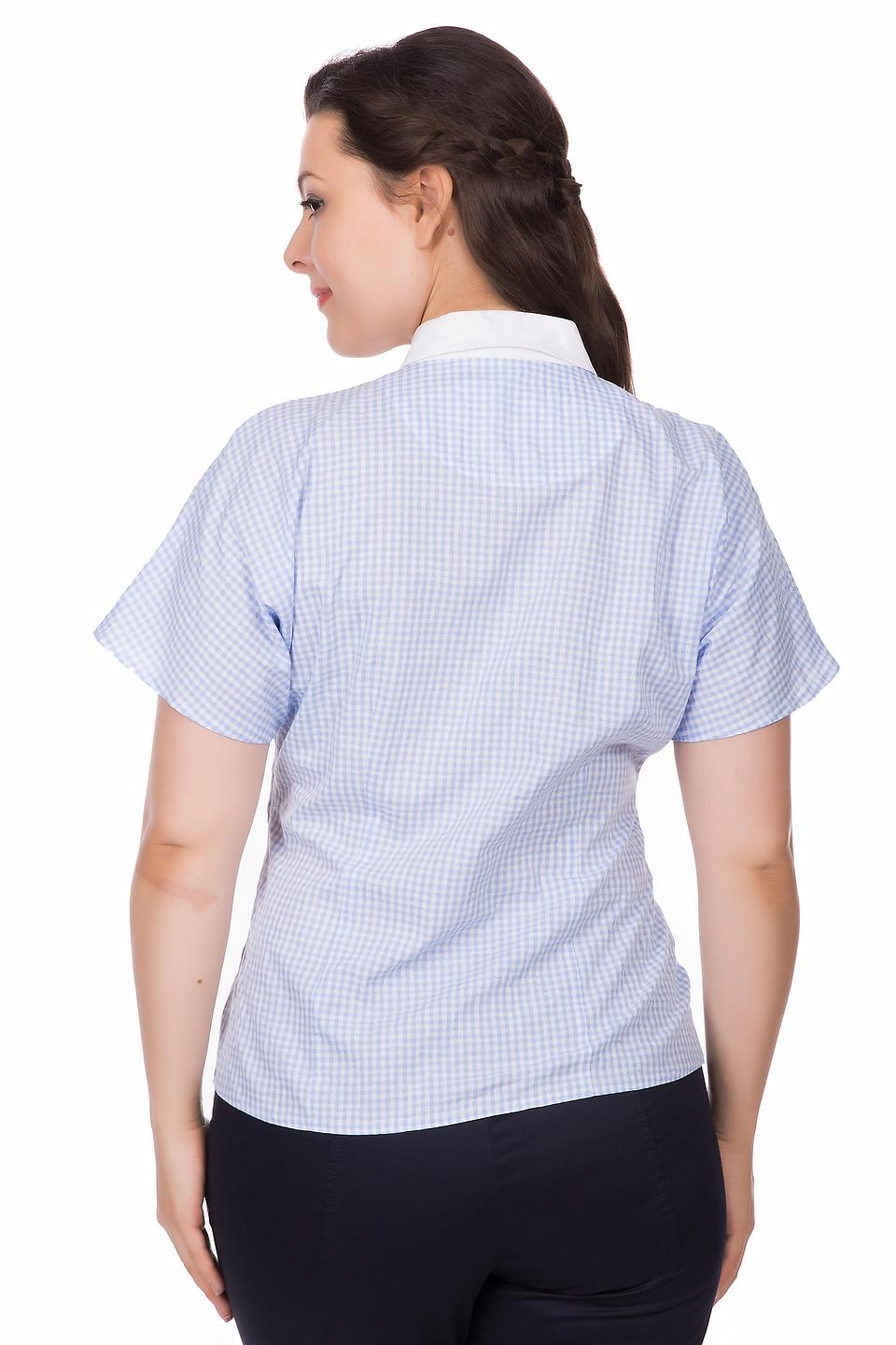 Блуза Steilmann в клетку голубую