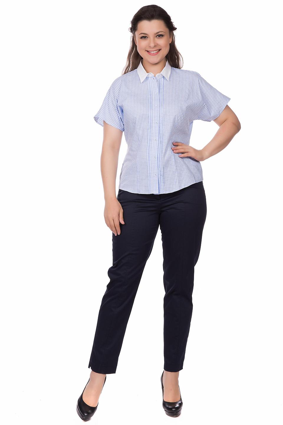 Блуза Steilmann в клетку голубую