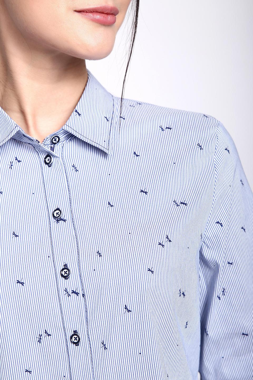 Блуза Erfo голубая в полоску с принтом стрекоз